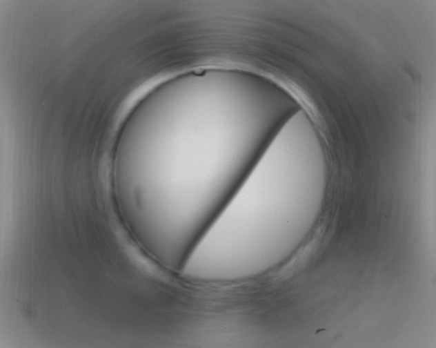 X0000114700854200910211008