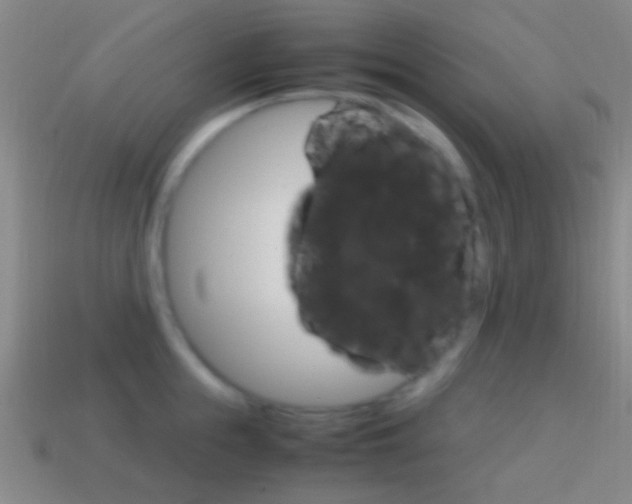 X0000114700855200910211008