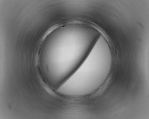 X0000114700858200910211008