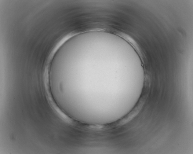 X0000114700859200910211008