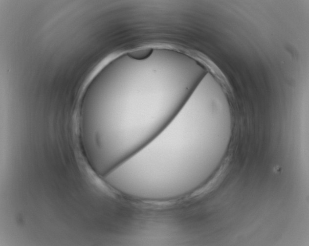 X0000114700860200910211008