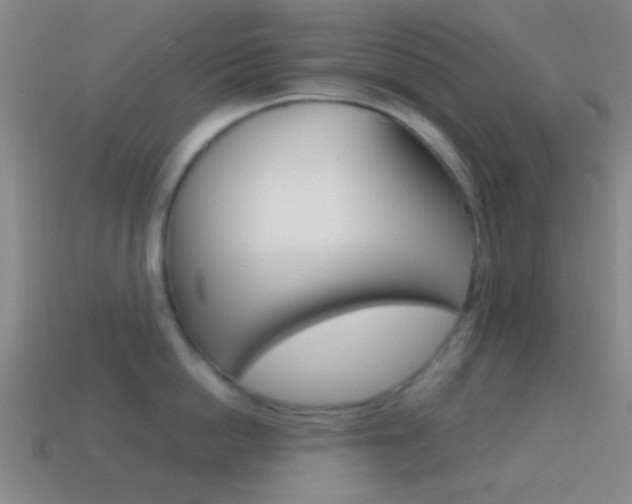 X0000114700862200910211008