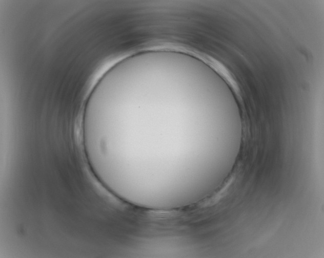 X0000114700863200910211008