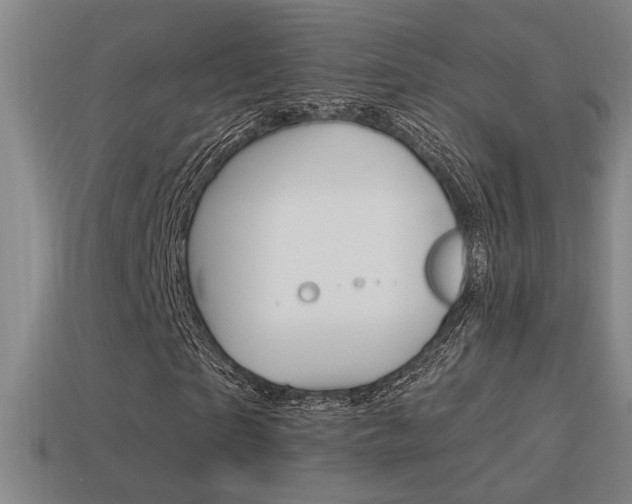 X0000114700865200910211007