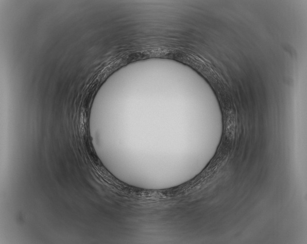 X0000114700866200910211007