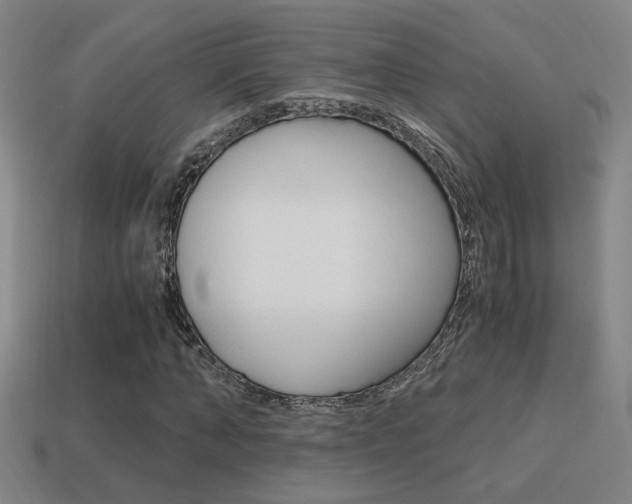 X0000114700870200910211007