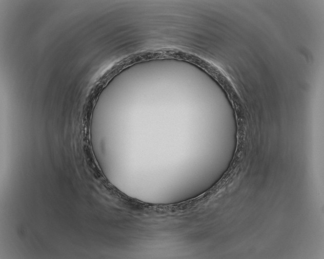 X0000114700871200910211007