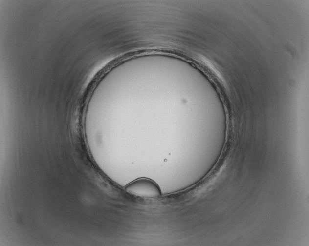X0000114700875200910211007
