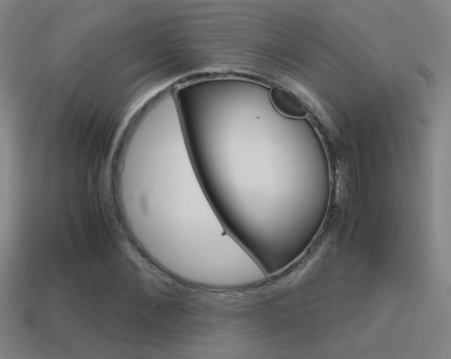 X0000114700876200910211007