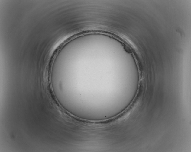 X0000114700877200910211007