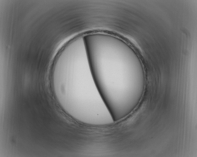 X0000114700879200910211007
