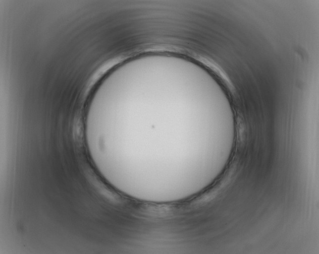 X0000114700882200910211007