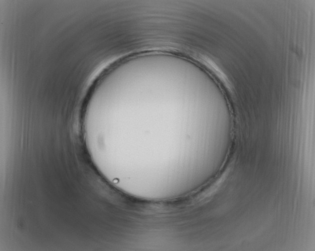 X0000114700883200910211007