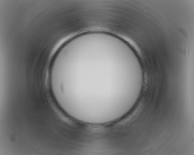 X0000114700886200910211007