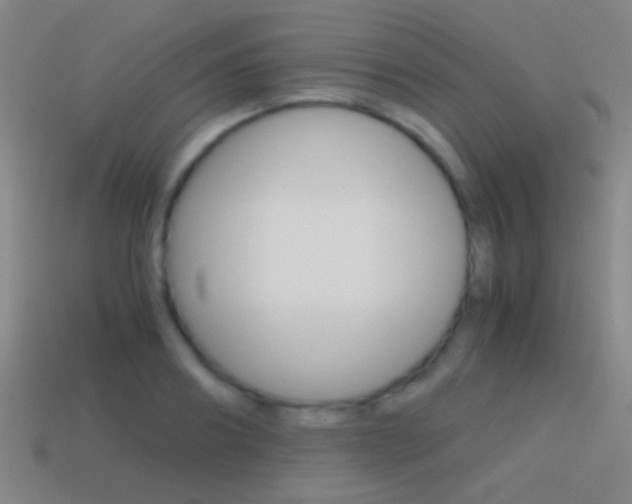 X0000114700890200910211007