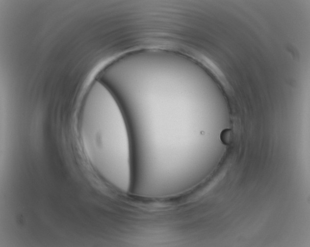 X0000114700891200910211007