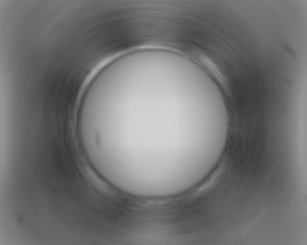 X0000114700892200910211007