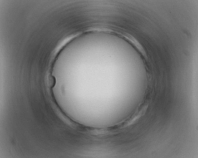 X0000114700893200910211007