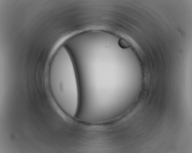 X0000114700894200910211007