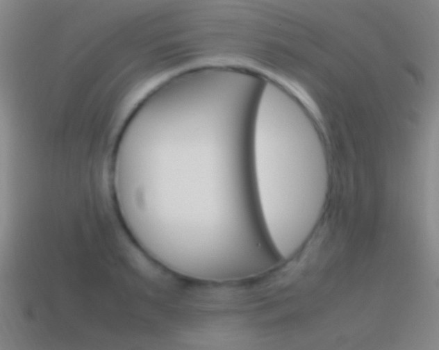 X0000114700895200910211007