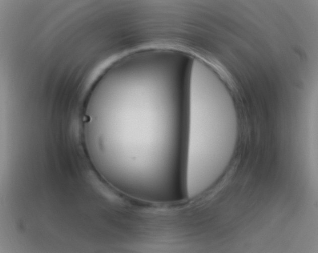 X0000114700896200910211007