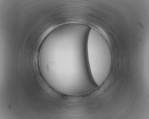 X0000114700899200910211007