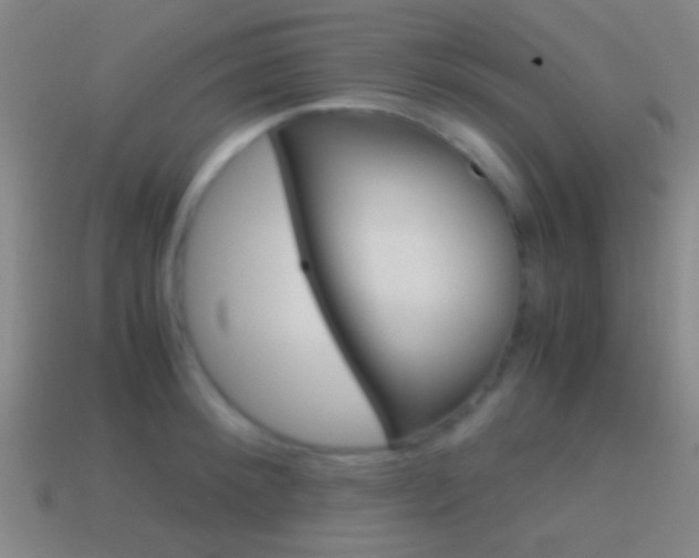 X0000114700900200910211007