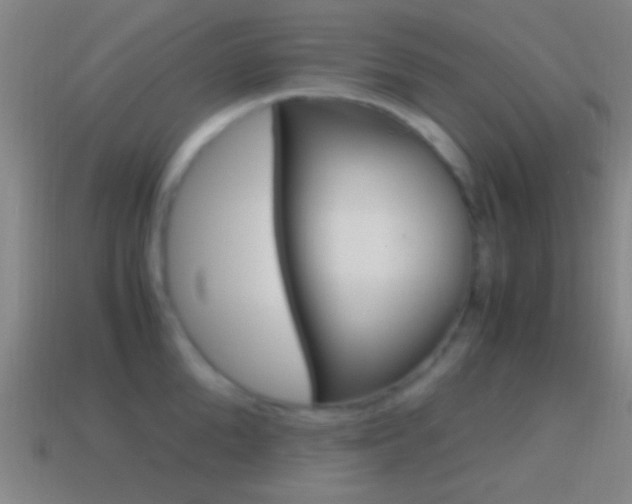 X0000114700904200910211007