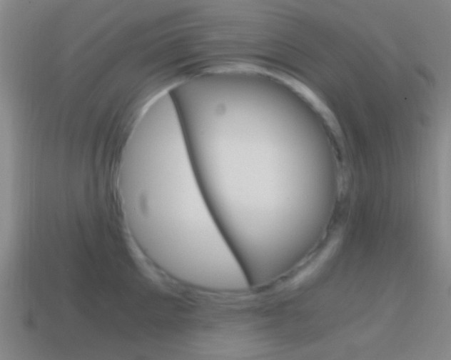 X0000114700905200910211007