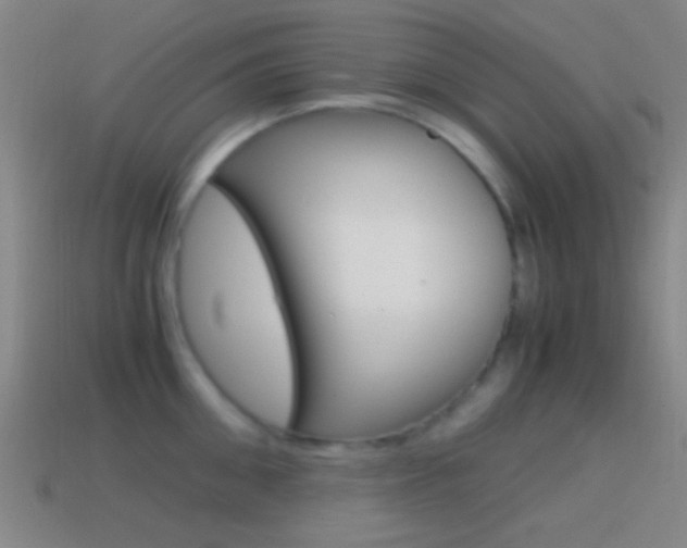 X0000114700906200910211007