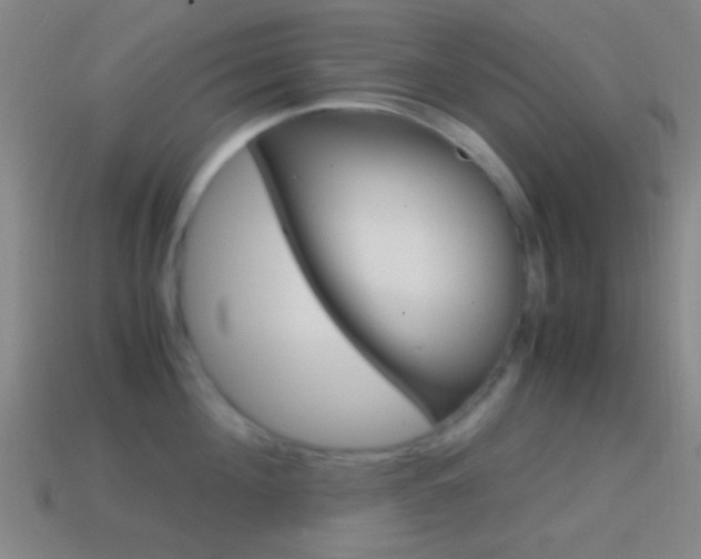 X0000114700908200910211007