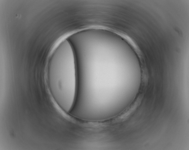X0000114700910200910211006