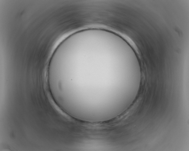 X0000114700911200910211006