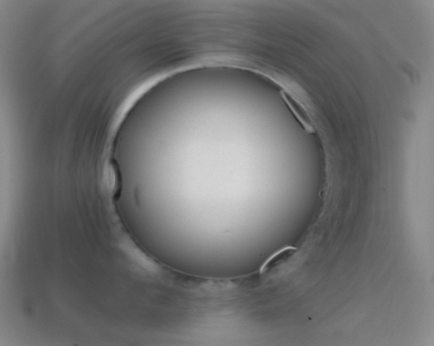 X0000114700912200910211006