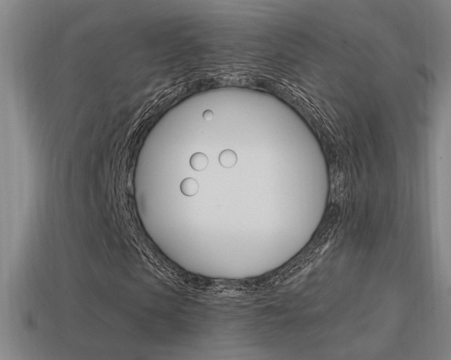 X0000114700913200910211006