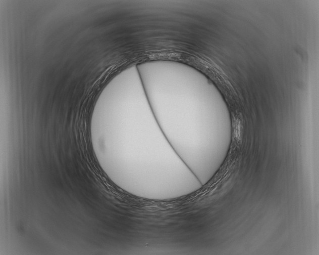 X0000114700915200910211006