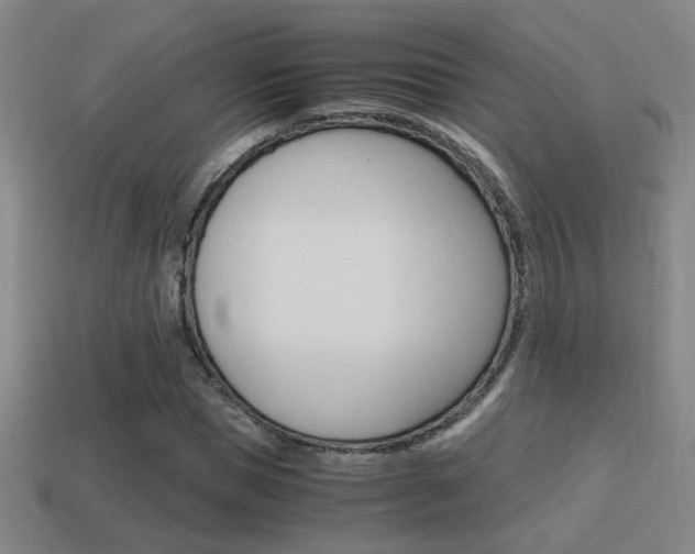 X0000114700921200910211006