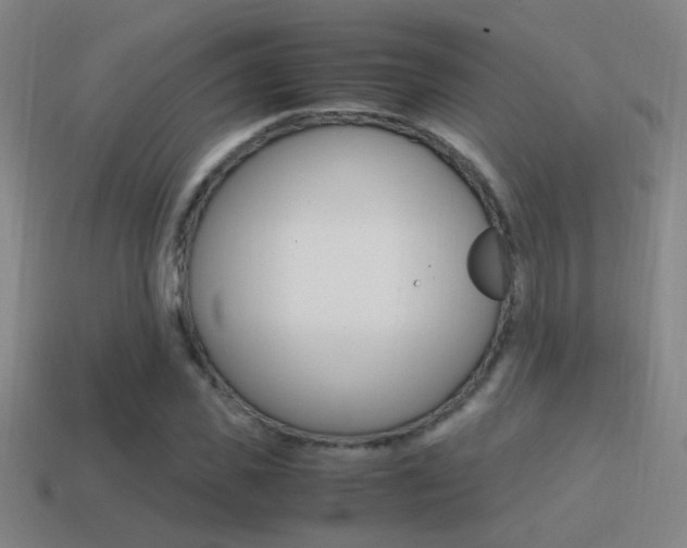 X0000114700925200910211006