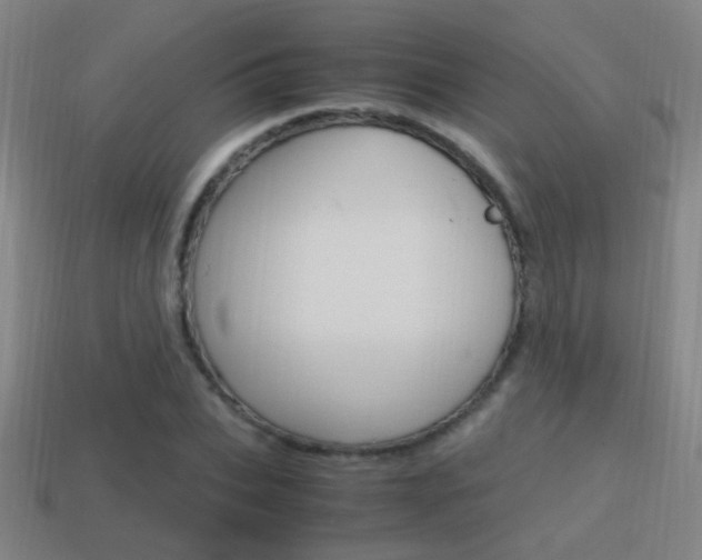 X0000114700927200910211006