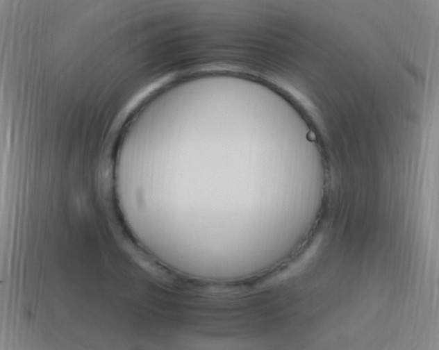 X0000114700933200910211006