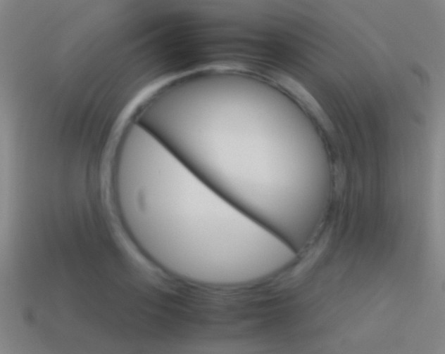 X0000114700939200910211006