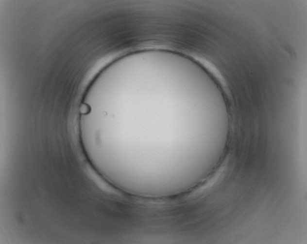 X0000114700941200910211006