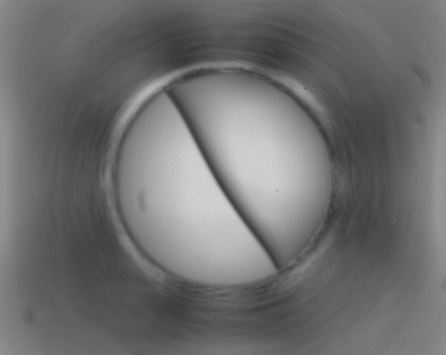 X0000114700943200910211006