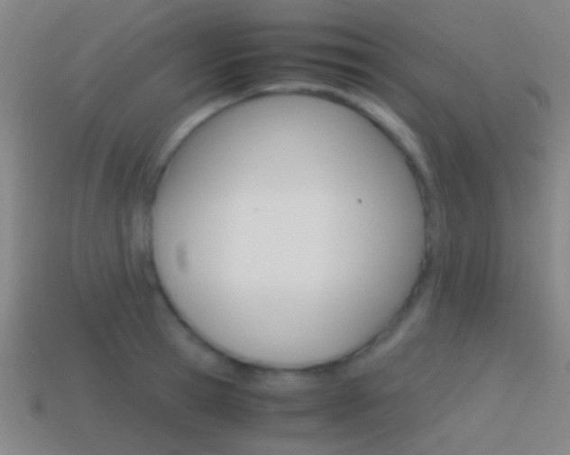 X0000114700945200910211006
