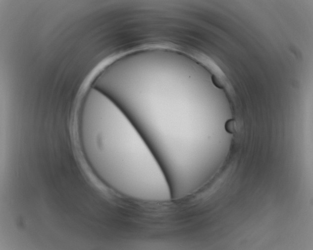 X0000114700947200910211006