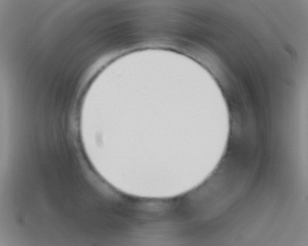 X0000114700950200910211006