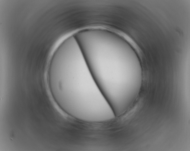 X0000114700951200910211006