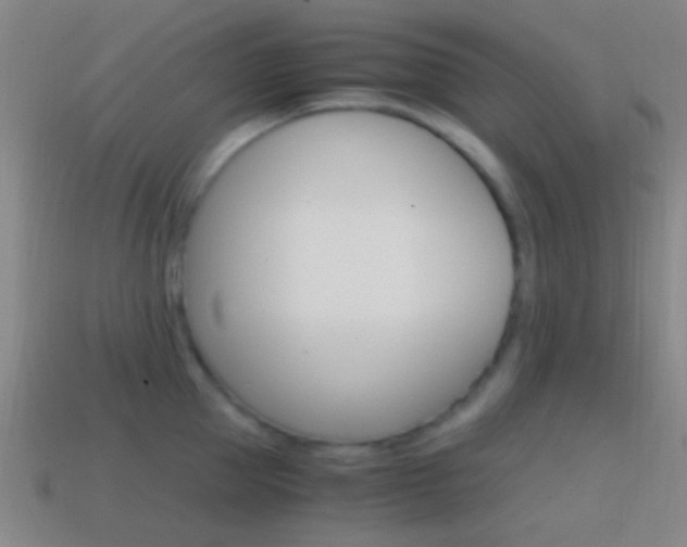 X0000114700953200910211006