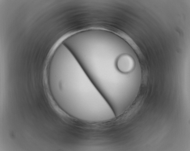 X0000114700955200910211006