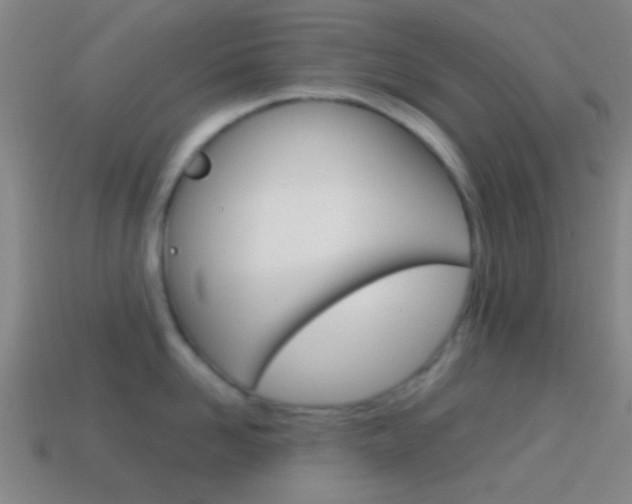 X0000114700958200910211006